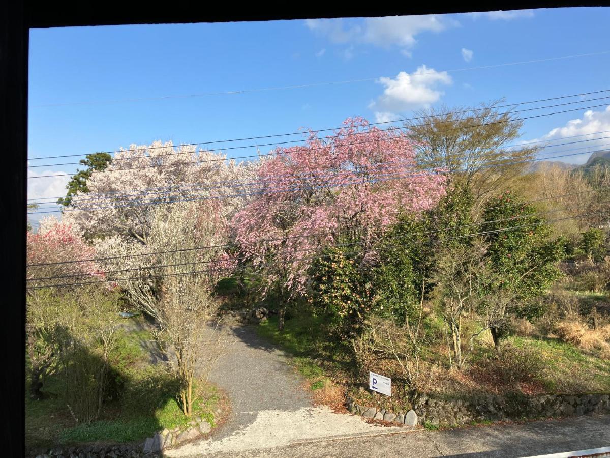 お宿でん吉 Minamiaso Buitenkant foto