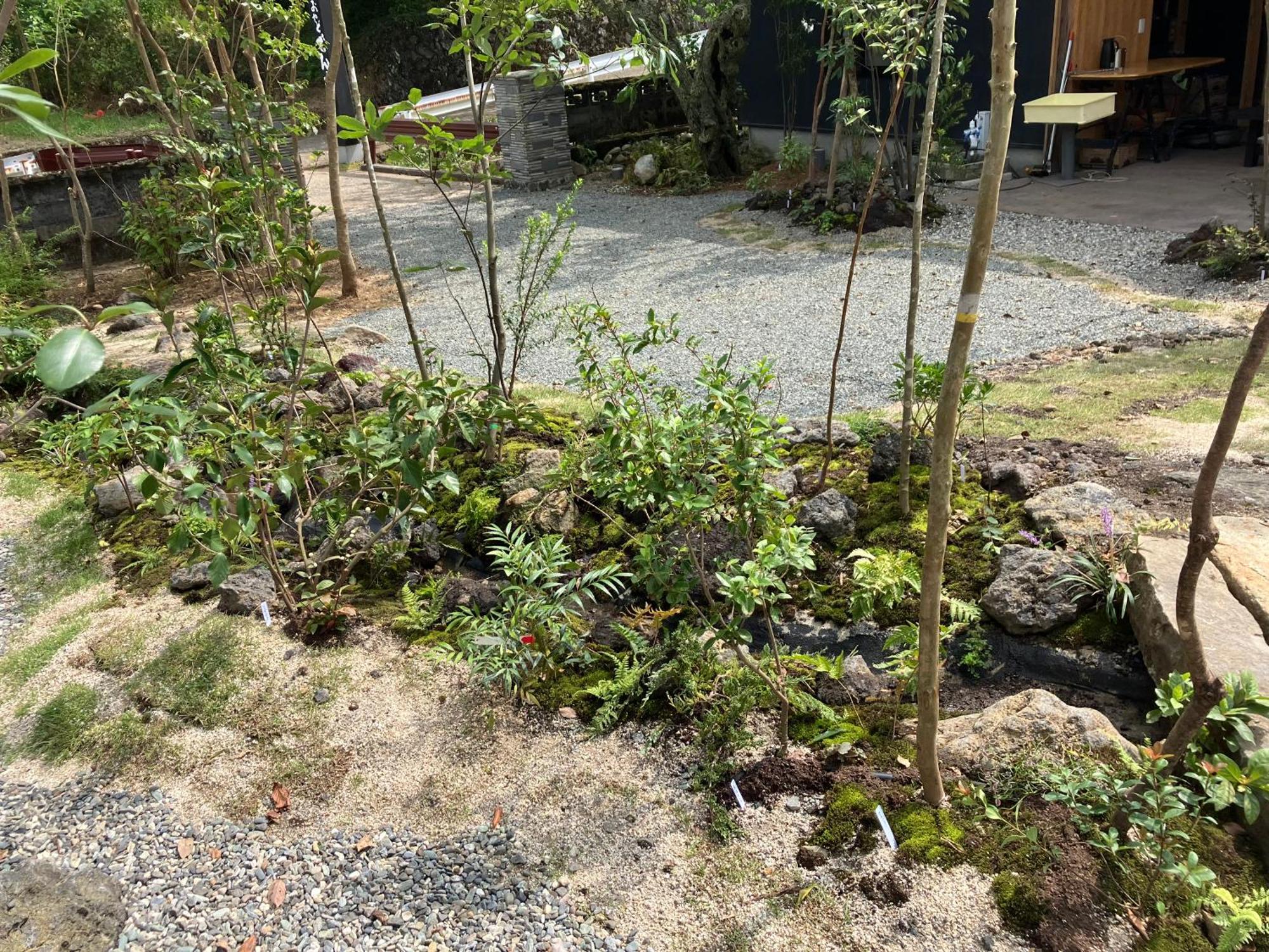 お宿でん吉 Minamiaso Buitenkant foto